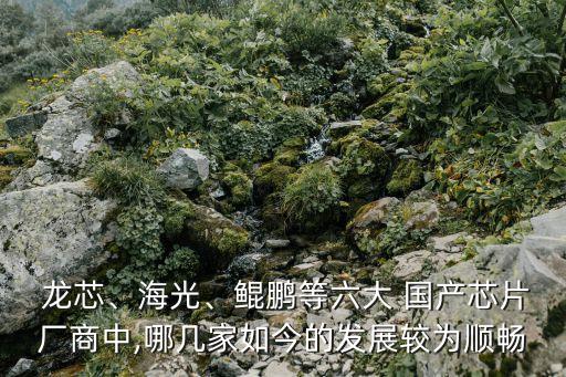  龍芯、海光、鯤鵬等六大 國(guó)產(chǎn)芯片廠商中,哪幾家如今的發(fā)展較為順暢