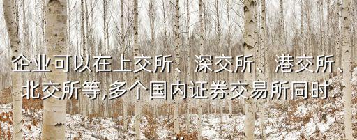 企業(yè)可以在上交所、深交所、港交所、北交所等,多個國內(nèi)證券交易所同時...
