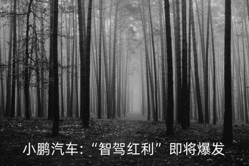 小鵬汽車(chē):“智駕紅利”即將爆發(fā)