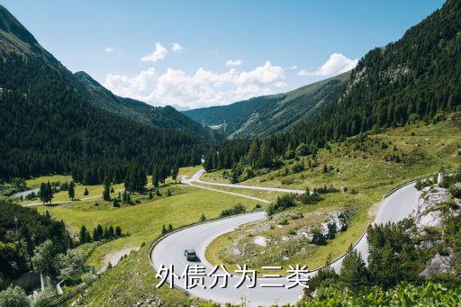  外債分為三類(lèi)