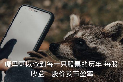 哪里可以查到每一只股票的歷年 每股 收益、股價(jià)及市盈率