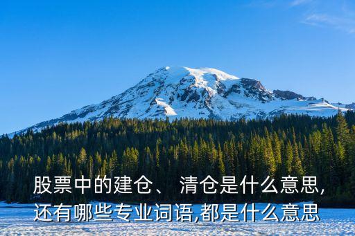  股票中的建倉、 清倉是什么意思,還有哪些專業(yè)詞語,都是什么意思