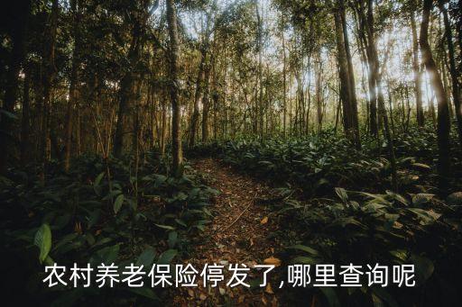 農(nóng)村養(yǎng)老保險(xiǎn)停發(fā)了,哪里查詢(xún)呢