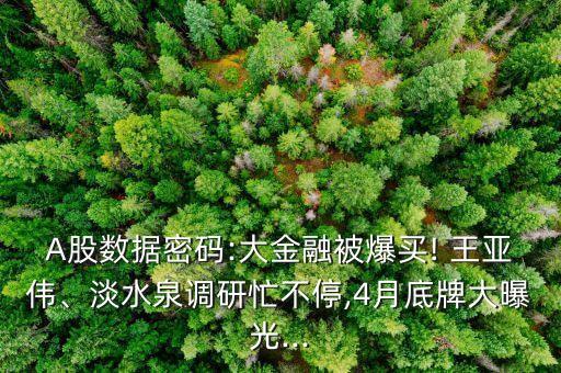 A股數(shù)據(jù)密碼:大金融被爆買! 王亞偉、淡水泉調(diào)研忙不停,4月底牌大曝光...