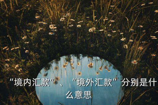 “境內(nèi)匯款”、“境外匯款”分別是什么意思