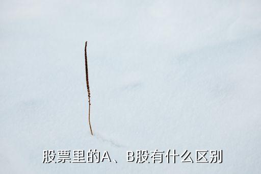  股票里的A、B股有什么區(qū)別