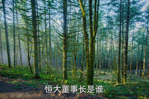 恒大董事長(zhǎng)是誰