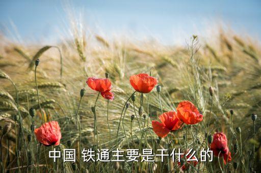 上海鐵通總經理,黑龍江中移鐵通總經理