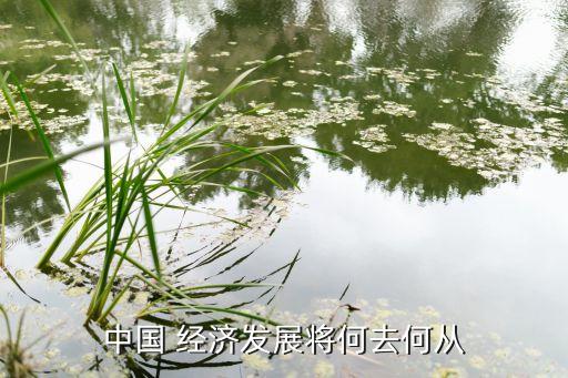 中國經(jīng)濟轉型必然失敗