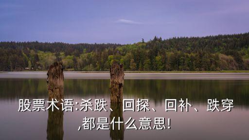  股票術(shù)語:殺跌、回探、回補(bǔ)、跌穿,都是什么意思!