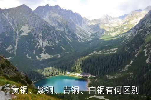 黃銅、紫銅、青銅、白銅有何區(qū)別