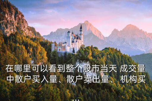 在哪里可以看到整個股市當(dāng)天 成交量中散戶買入量、散戶賣出量、 機(jī)構(gòu)買...