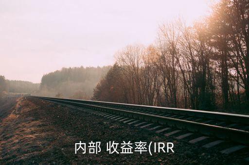 內部 收益率(IRR