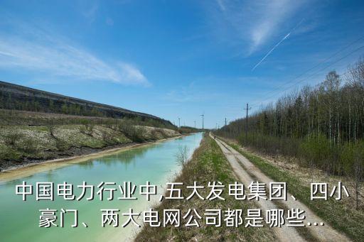 中國電力行業(yè)中,五大發(fā)電集團(tuán)、四小豪門、兩大電網(wǎng)公司都是哪些...