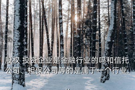 股權(quán) 投資企業(yè)是金融行業(yè)的嗎和信托公司、擔(dān)保公司等的是屬于一個行業(yè)...