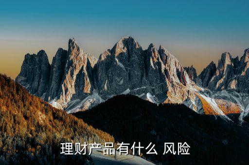  理財產(chǎn)品有什么 風險