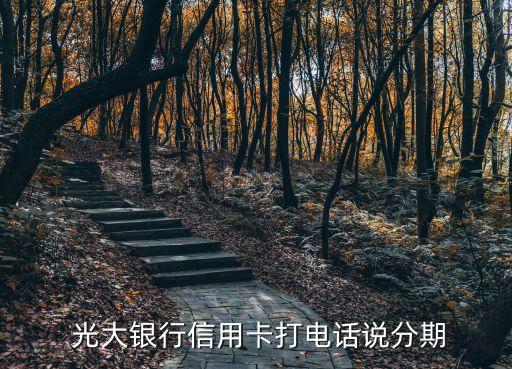  光大銀行信用卡打電話(huà)說(shuō)分期