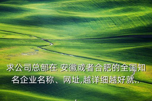 求公司總部在 安徽或者合肥的全國知名企業(yè)名稱、網(wǎng)址,越詳細(xì)越好就...