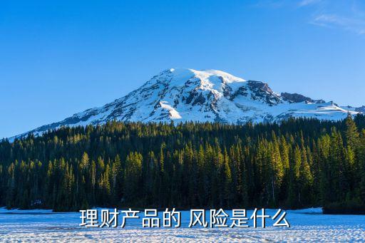  理財產(chǎn)品的 風險是什么