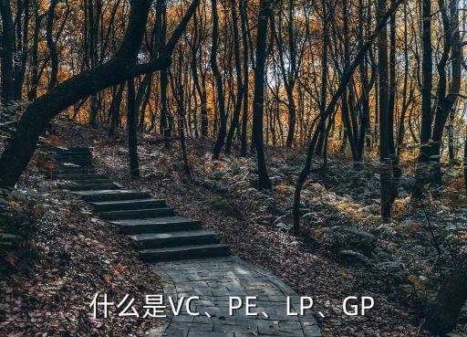 什么是VC、PE、LP、GP