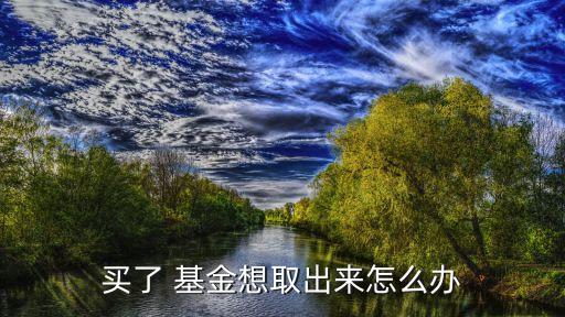 買(mǎi)了 基金想取出來(lái)怎么辦