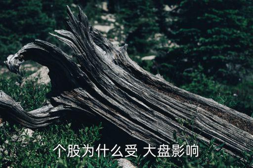 個(gè)股為什么受 大盤(pán)影響