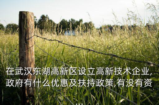 在武漢東湖高新區(qū)設立高新技術企業(yè),政府有什么優(yōu)惠及扶持政策,有沒有資...