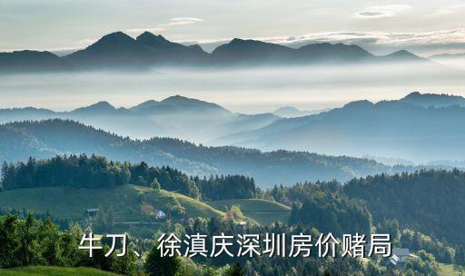  牛刀、徐滇慶深圳房價賭局