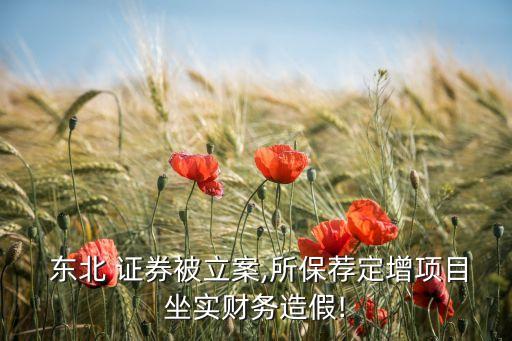  東北 證券被立案,所保薦定增項(xiàng)目坐實(shí)財務(wù)造假!
