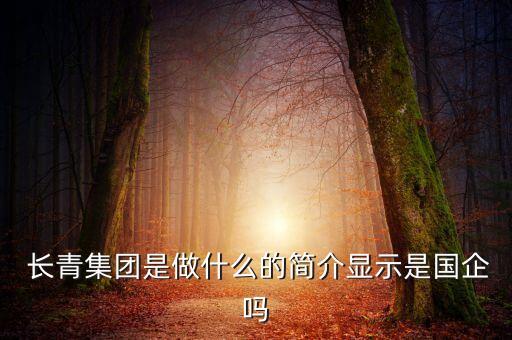 中國長青技術控股有限公司,廣州市九安智能技術控股有限公司