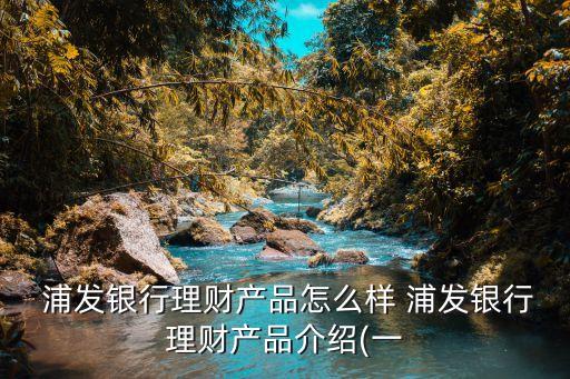  浦發(fā)銀行理財產品怎么樣 浦發(fā)銀行理財產品介紹(一