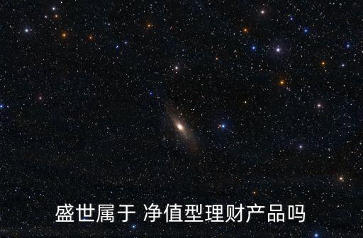 盛世屬于 凈值型理財產品嗎
