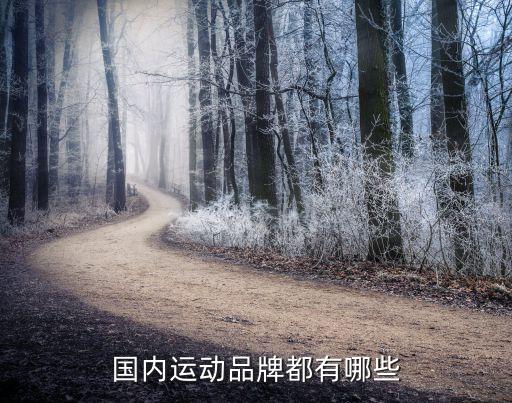 國內(nèi)運(yùn)動品牌都有哪些