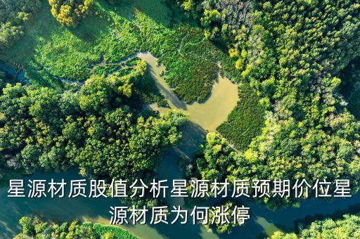 星源材質(zhì)股值分析星源材質(zhì)預(yù)期價位星源材質(zhì)為何漲停