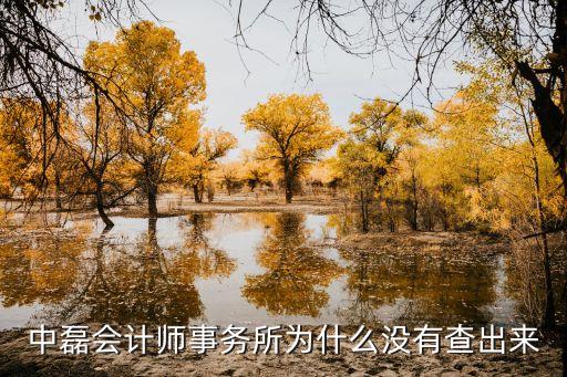 中磊會(huì)計(jì)師事務(wù)所為什么沒有查出來