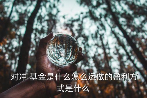  對沖 基金是什么怎么運(yùn)做的盈利方式是什么