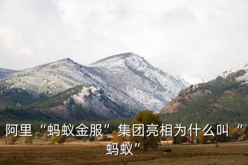 期貨基金網,商品期貨ETF基金有哪些