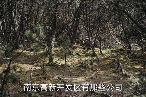 江蘇天澤信息產業(yè)有限公司,江蘇博文五行土地信息產業(yè)有限公司