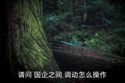 請(qǐng)問 國(guó)企之間 調(diào)動(dòng)怎么操作