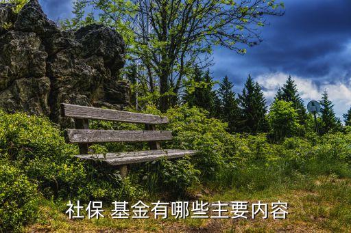社保基金投資運營的原則,美國社?；鹜顿Y運營現(xiàn)狀