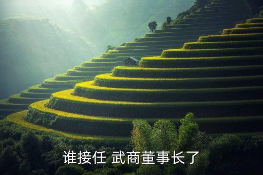 誰接任 武商董事長(zhǎng)了
