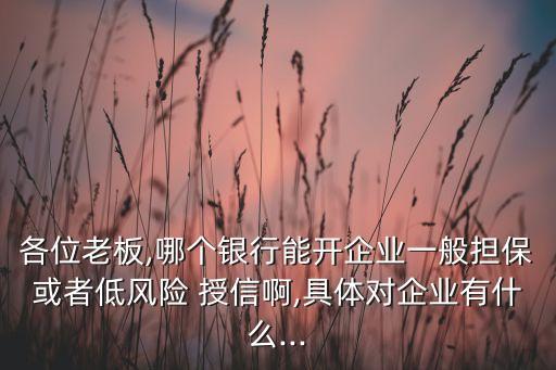 各位老板,哪個銀行能開企業(yè)一般擔(dān)保或者低風(fēng)險 授信啊,具體對企業(yè)有什么...