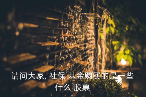 社保107基金持有的股票,2022年社?；鹬貍}(cāng)股票