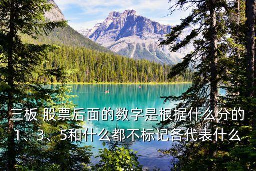 三板 股票后面的數(shù)字是根據(jù)什么分的1、3、5和什么都不標記各代表什么...