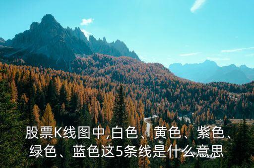  股票K線圖中,白色、黃色、紫色、綠色、藍(lán)色這5條線是什么意思