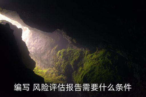 編寫 風險評估報告需要什么條件