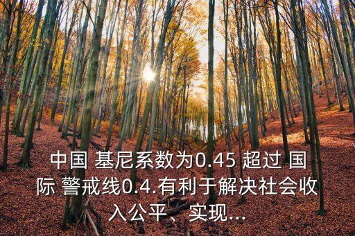 中國 基尼系數(shù)為0.45 超過 國際 警戒線0.4.有利于解決社會收入公平、實現(xiàn)...