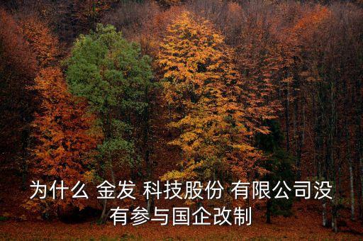 為什么 金發(fā) 科技股份 有限公司沒(méi)有參與國(guó)企改制