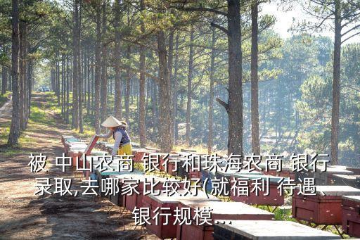 被 中山農(nóng)商 銀行和珠海農(nóng)商 銀行錄取,去哪家比較好(就福利 待遇、 銀行規(guī)模...