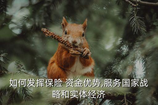如何發(fā)揮保險(xiǎn) 資金優(yōu)勢,服務(wù)國家戰(zhàn)略和實(shí)體經(jīng)濟(jì)